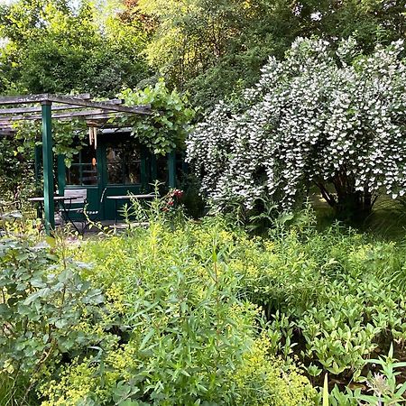 Design Ferienwohnung Mit Bauerngarten Waldkirchen Exteriér fotografie