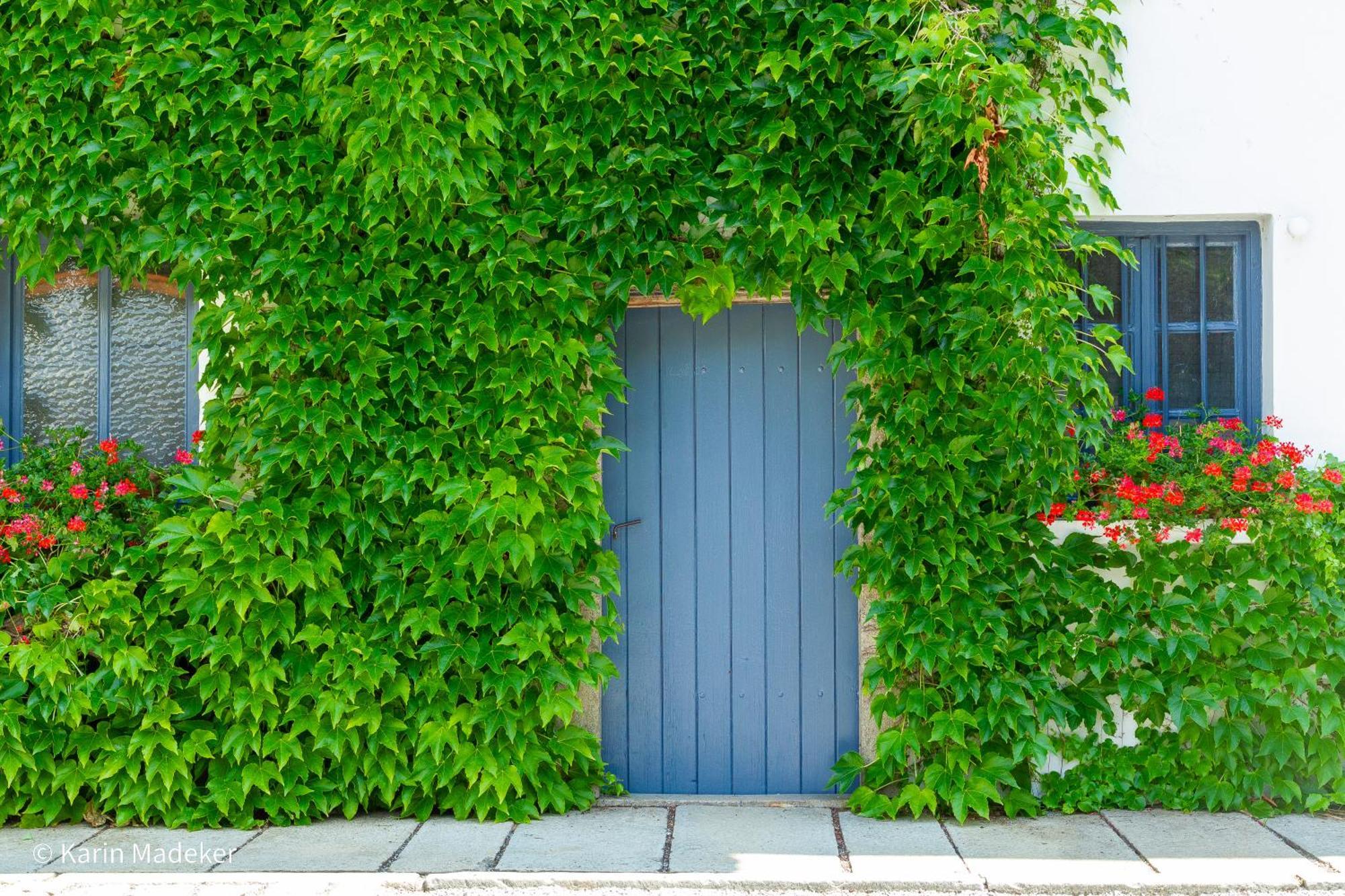 Design Ferienwohnung Mit Bauerngarten Waldkirchen Exteriér fotografie