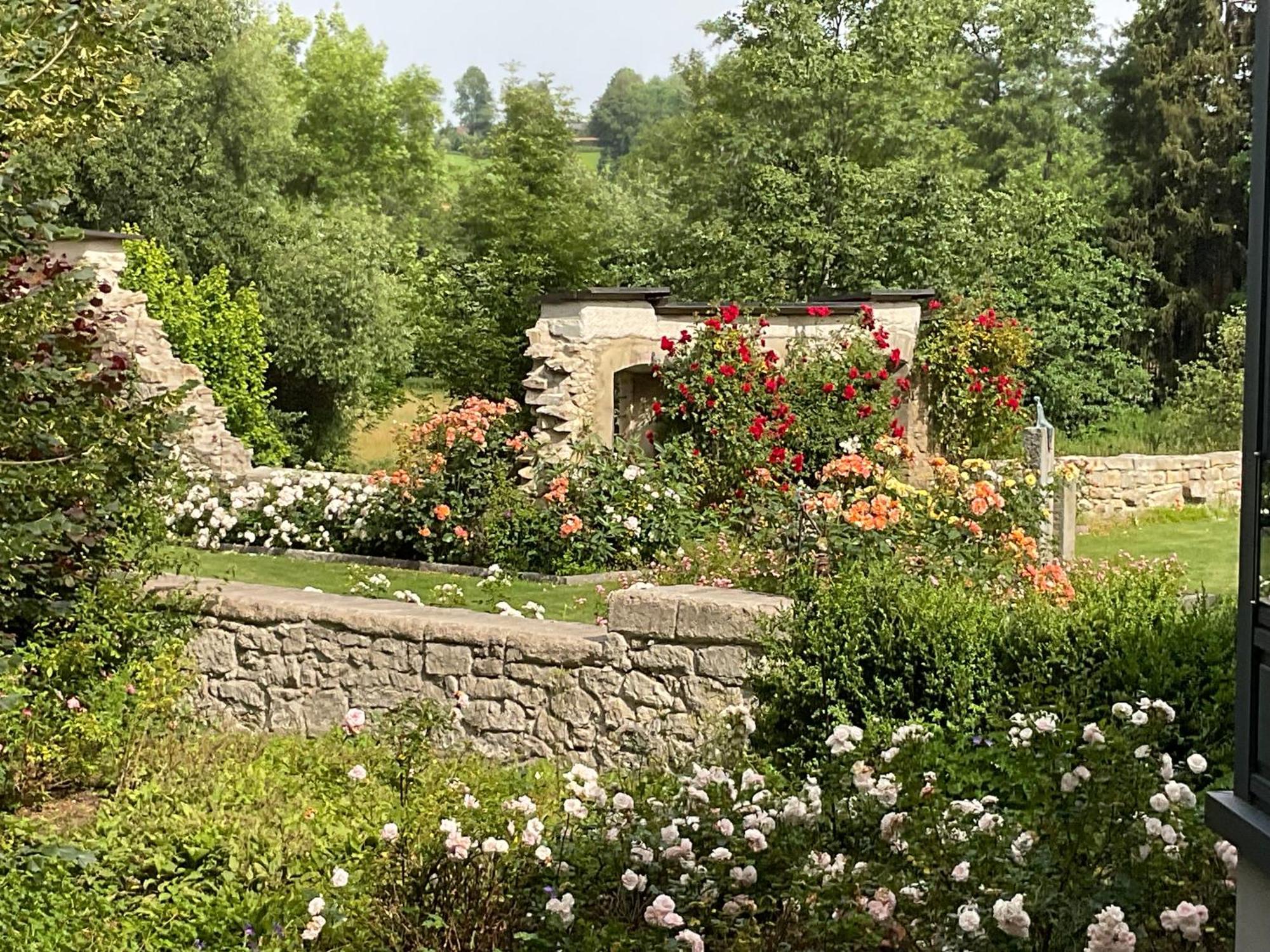 Design Ferienwohnung Mit Bauerngarten Waldkirchen Exteriér fotografie